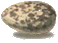 egg2.gif